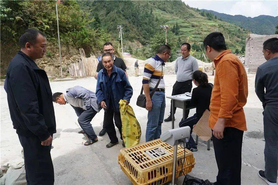 隆陽(yáng)區(qū)扶貧辦最新新聞，持續(xù)推進(jìn)脫貧攻堅(jiān)，助力鄉(xiāng)村振興