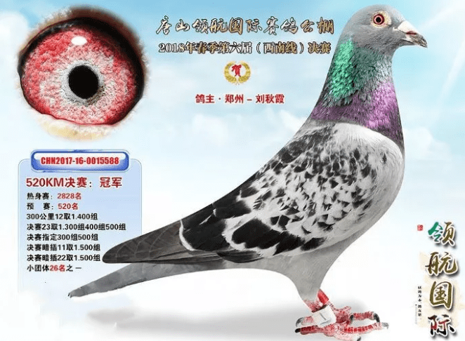 和平公棚春棚最新公告，推動農業(yè)可持續(xù)發(fā)展與生態(tài)和諧共融