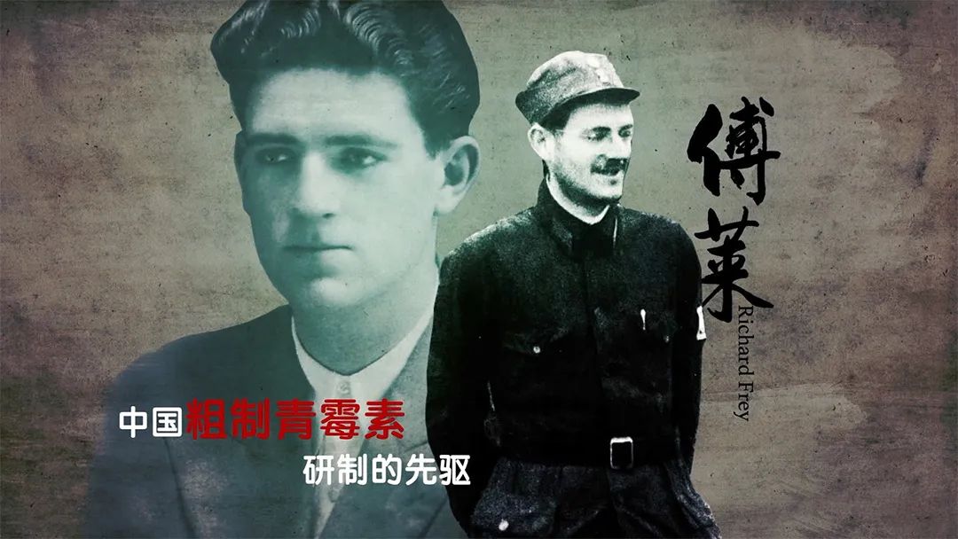 鳳凰衛(wèi)視龍行天下最新動(dòng)態(tài)，深度洞察全球時(shí)事熱點(diǎn)，引領(lǐng)國(guó)際視野新潮流