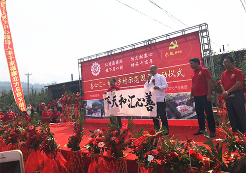 善心匯最新動(dòng)態(tài)，今日消息一覽