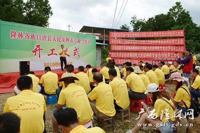 隆林扶貧搬遷最新消息，推動脫貧攻堅與鄉(xiāng)村振興并重前行