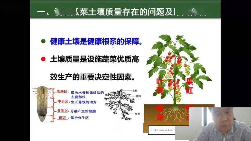最新招聘果樹技術(shù)人員，掌握果樹科學(xué)，助力綠色產(chǎn)業(yè)發(fā)展