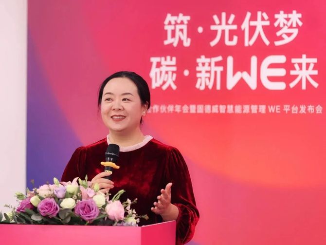 南方電網(wǎng)譚瓊的最新動態(tài)，引領數(shù)字化轉型，助力能源革命