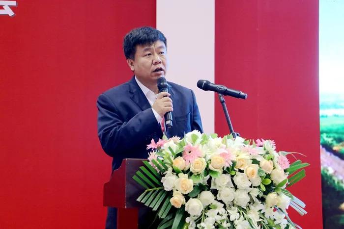 武清西部規(guī)劃最新消息，未來(lái)藍(lán)圖揭曉