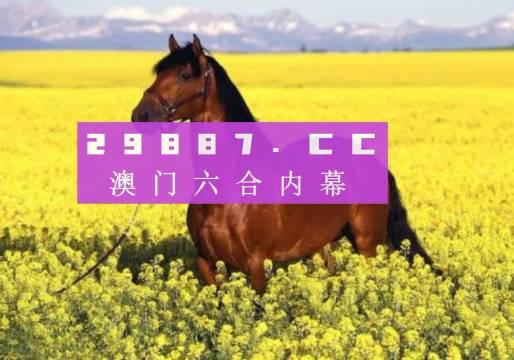 新粵門六舍彩資料免費，探索與解析