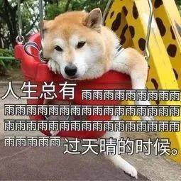 警惕虛假預測，今晚澳門特馬開什么與四不像的真相揭秘