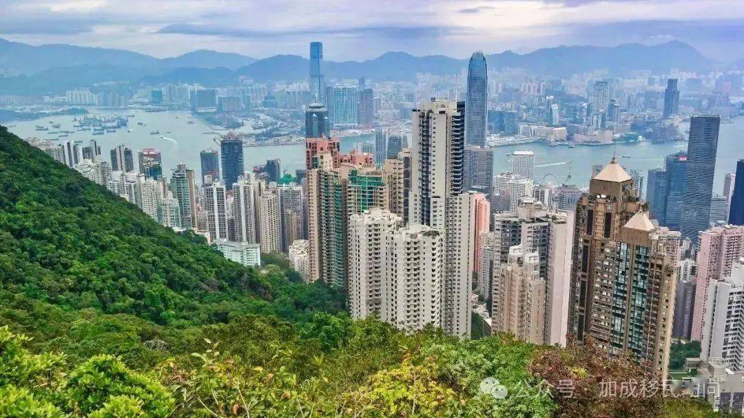 二四六香港管家婆期期準(zhǔn)資料大全，深度解析與實(shí)用指南
