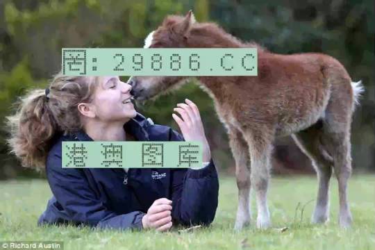 澳門平特一肖，揭秘預(yù)測(cè)準(zhǔn)確率背后的真相