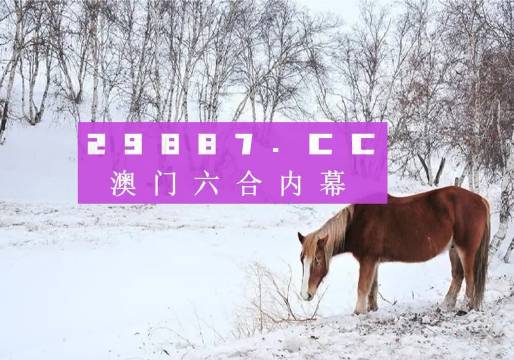 新澳門彩4949開獎(jiǎng)記錄，探索與解析