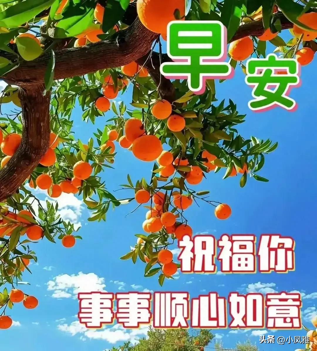 探索與分享，2024天天彩全年免費(fèi)資料的深度解析