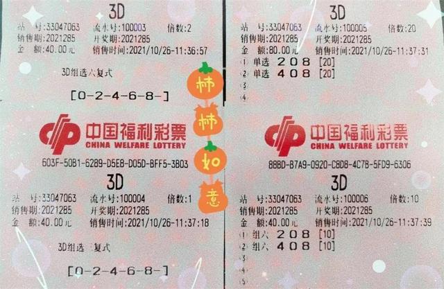澳門天天開好彩大全，探索彩票的魅力與期待第46期的奇跡