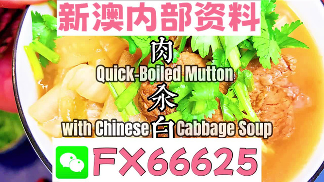 管家婆一碼一肖一種大全，揭秘神秘預(yù)測背后的故事