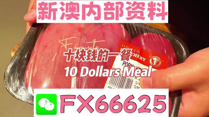 新澳精準(zhǔn)資料免費(fèi)大全——探索最新信息資源的寶庫(kù)