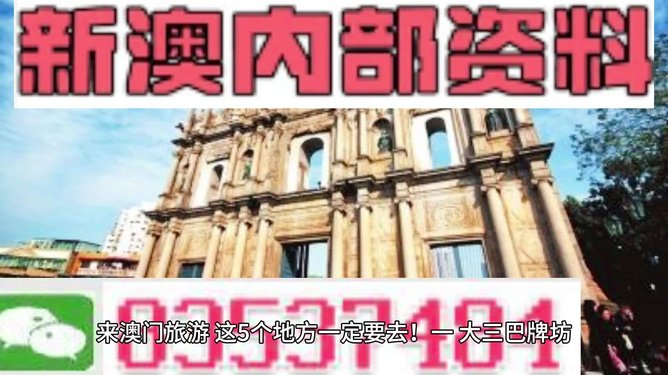 新澳門最精準(zhǔn)正最精準(zhǔn)龍門，探索與解析