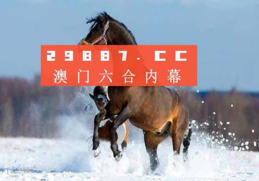 澳門一肖一碼一必中一肖同舟前進，探索與希望