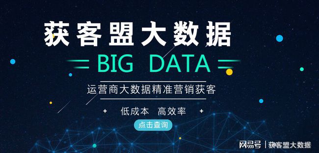 新奧天天精準資料大全，探索與解析