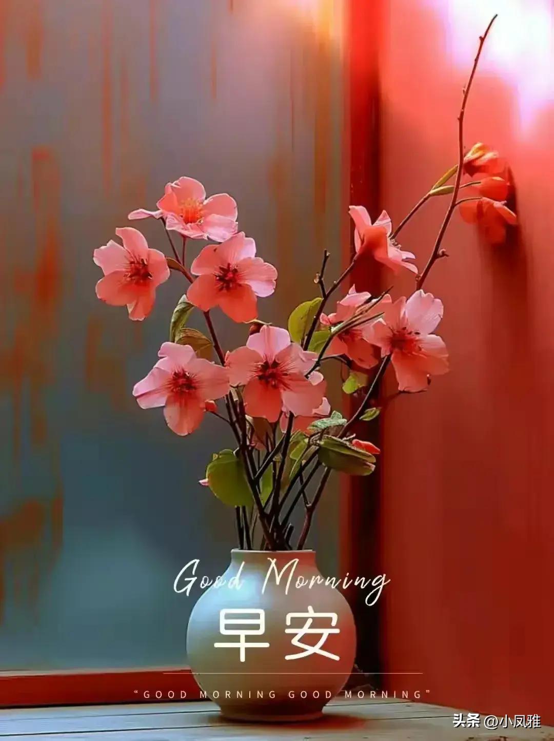 探索真實(shí)，2024天天彩正版資料大全