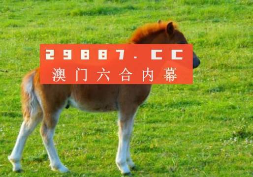 澳門(mén)必中一一肖一碼服務(wù)內(nèi)容——揭示背后的風(fēng)險(xiǎn)與警示