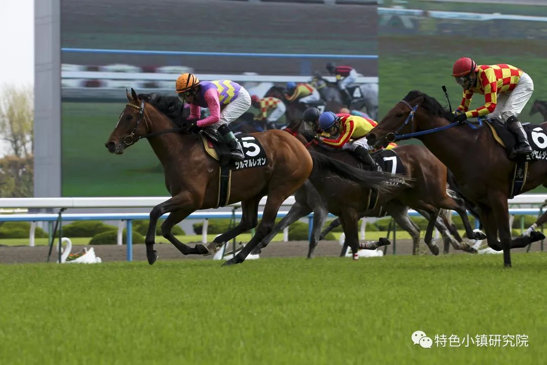 今晚香港開特馬，探尋賽馬運動的魅力與未來展望