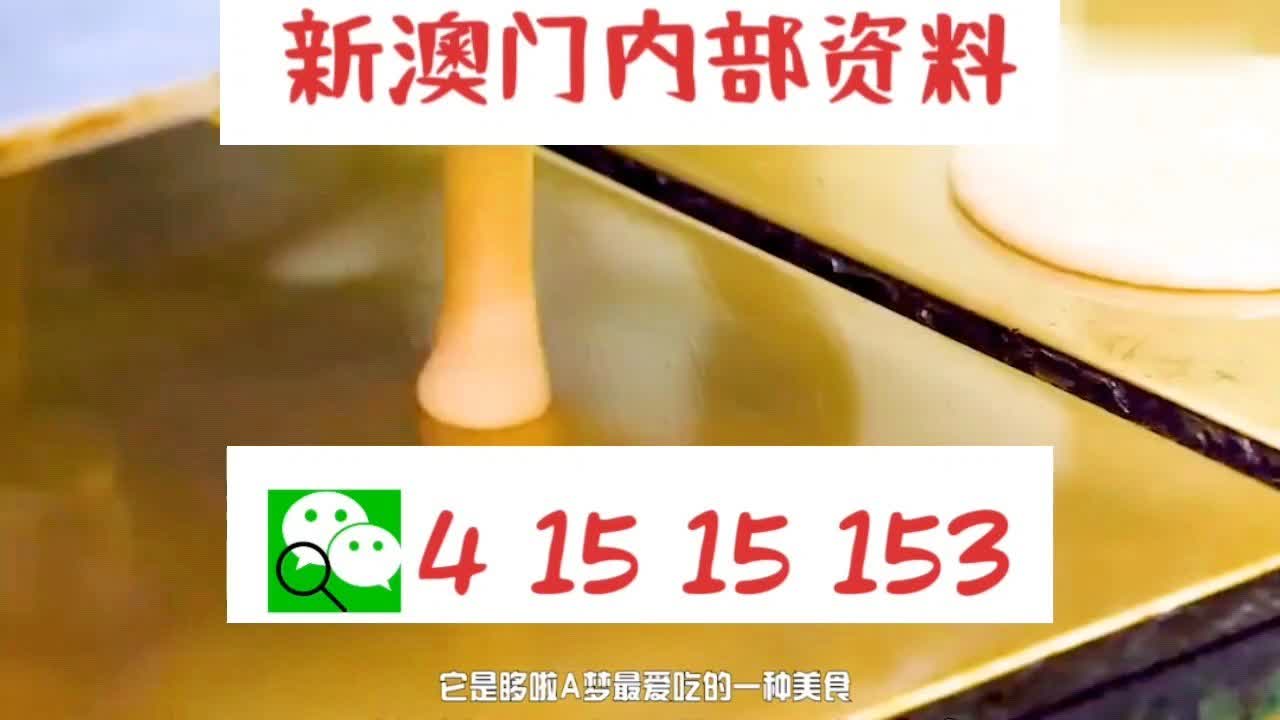 澳門彩票，2024年天天開好彩的期待與探索