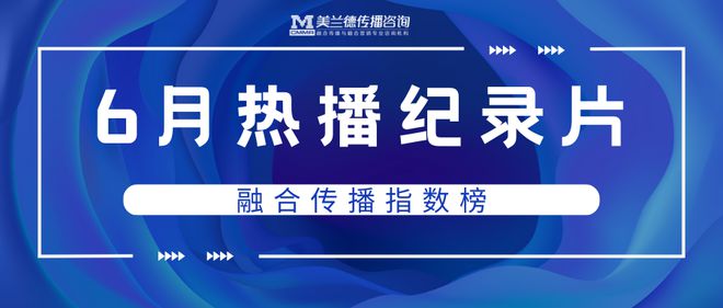 管家婆一肖一馬一中一特，揭秘神秘命運之輪下的故事