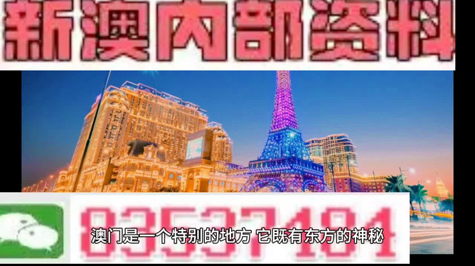 新澳門跑狗圖今晚特，探索未知，期待驚喜