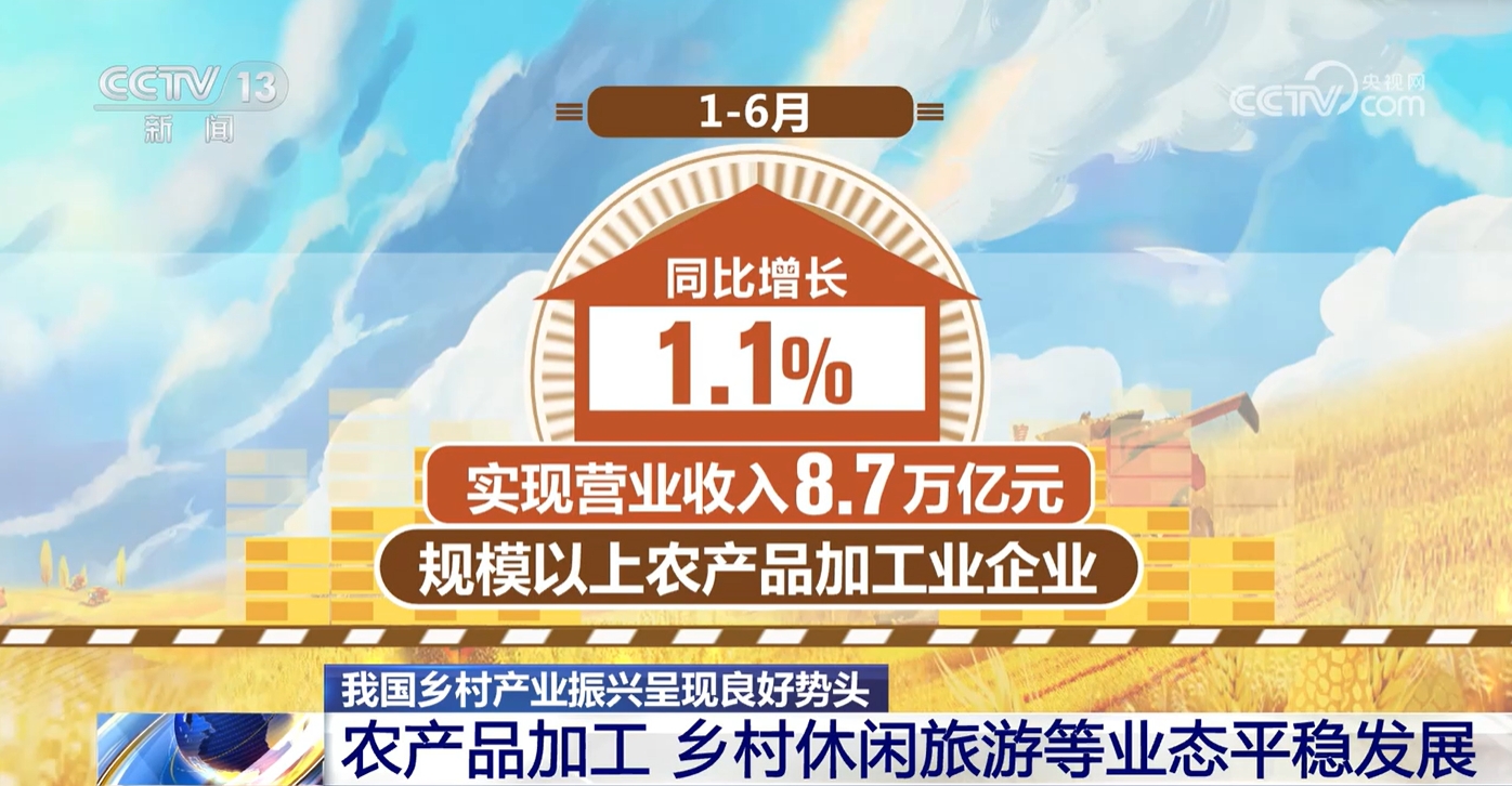 新澳門(mén)免費(fèi)資料大全在線查看，探索與解讀