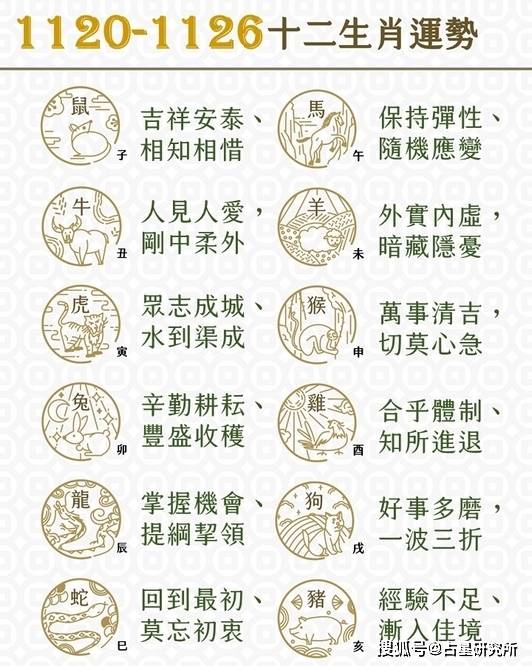 揭秘精準(zhǔn)一肖一碼，探尋命理預(yù)測(cè)的真諦與智慧