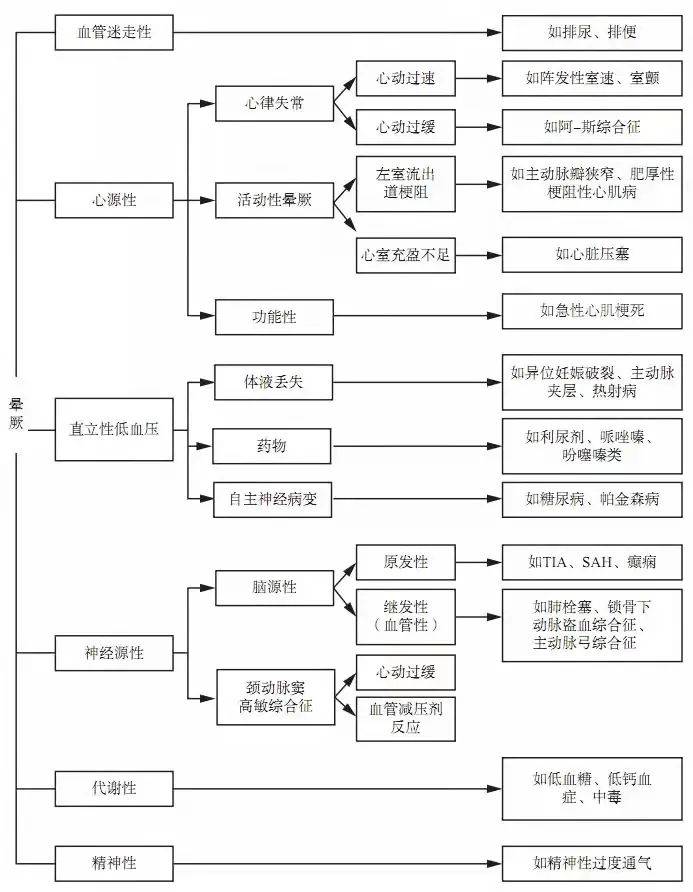 澳門100%最準(zhǔn)一肖，探索背后的神秘與魅力