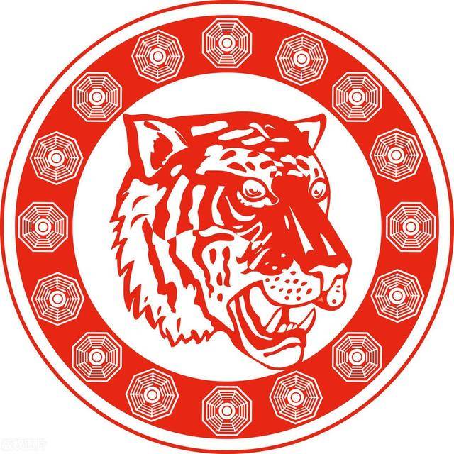 澳門今晚生肖預(yù)測，探尋未來的幸運符號