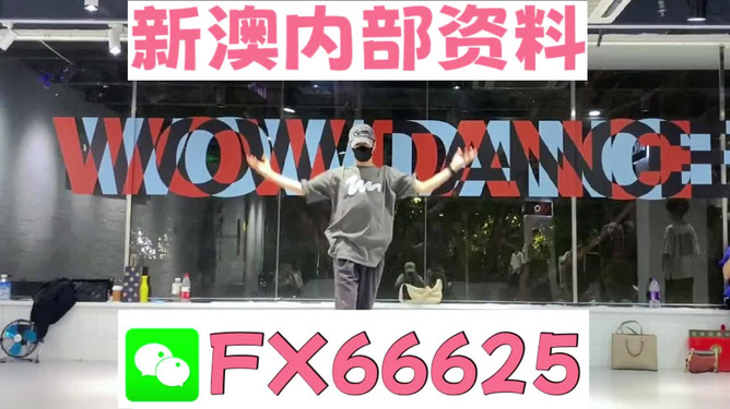 管家婆一碼一肖一種大全，揭秘神秘預(yù)測背后的故事