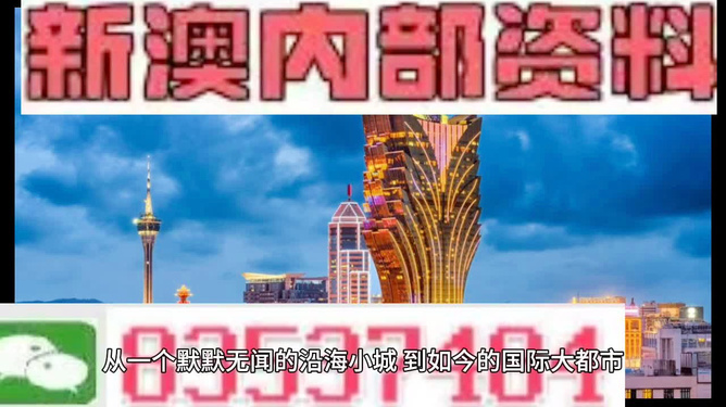 新澳精準(zhǔn)資料免費(fèi)提供，探索第510期的奧秘與價(jià)值