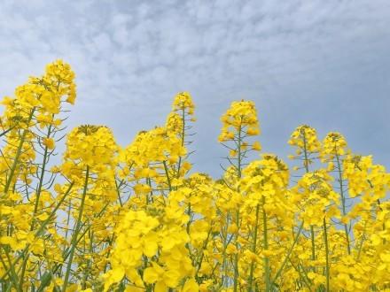 周末龍門陣最新一期，深度探討與生活的新發(fā)現(xiàn)