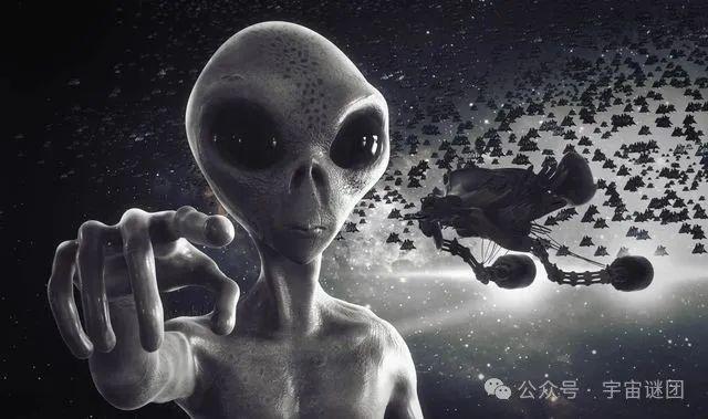 探索未來，揭秘神秘的四不像圖片在2024年的新面貌