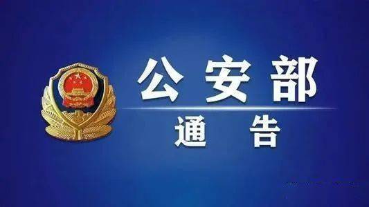 澳門4949彩論壇高手與犯罪問(wèn)題的探討