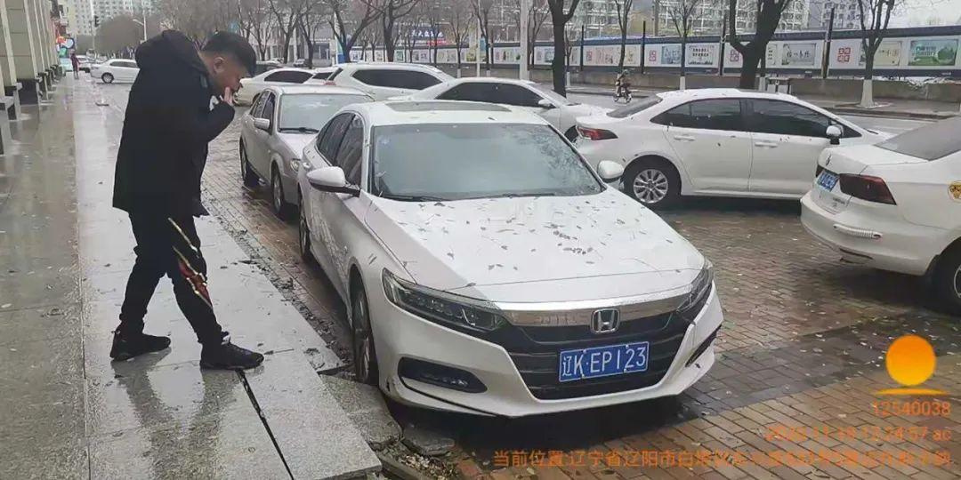 遼陽(yáng)車牌最新號(hào)段，解讀與影響分析