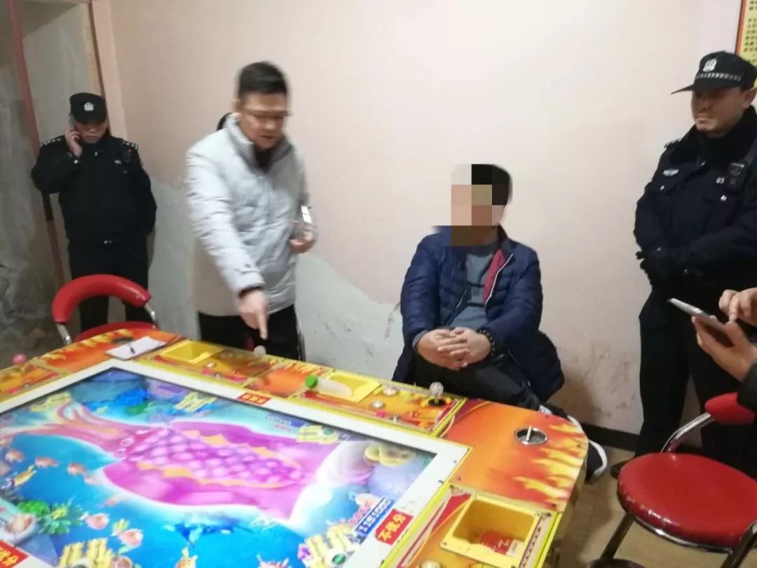 澳門一肖中100%期期準(zhǔn)，揭示背后的違法犯罪問題