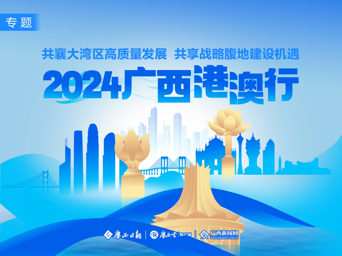 澳門精準(zhǔn)正版免費(fèi)大全14年新，揭示背后的風(fēng)險(xiǎn)與警示