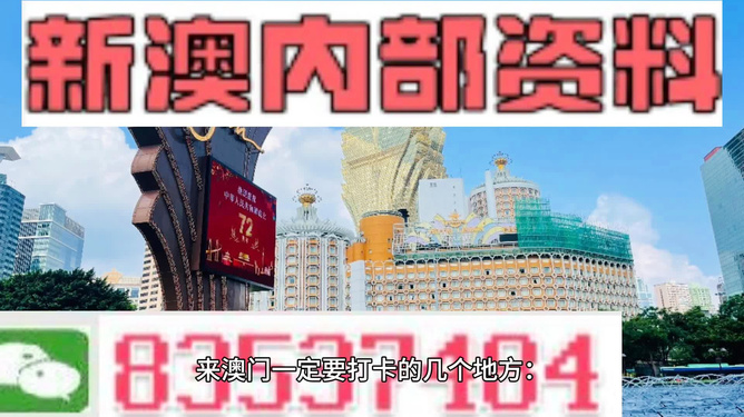 新澳門全年免費資料，探索與揭秘