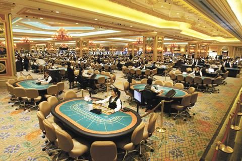 澳門管家婆一肖中特2019，揭示背后的違法犯罪問題