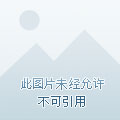 衡水小區(qū)房?jī)r(jià)最新排名，市場(chǎng)分析與趨勢(shì)預(yù)測(cè)