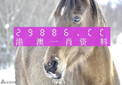 澳門精準一肖一碼100%，揭示背后的犯罪問題