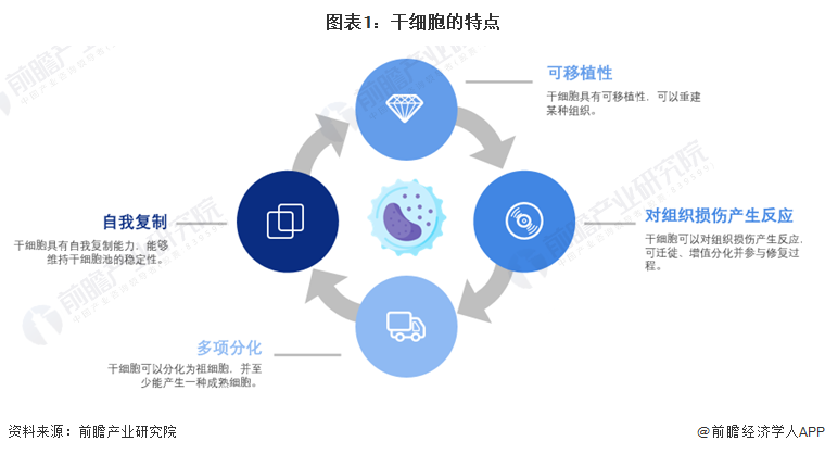 安沂華干細胞最新進展，突破與創(chuàng)新的前沿科技