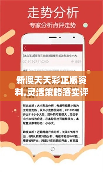 新奧天天免費資料單雙，探索與解析
