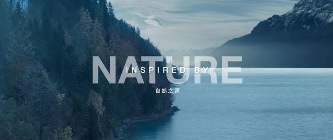 水沐晨光最新章節(jié)閱讀，探尋未知的奇幻世界