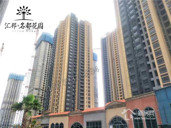 揭秘四不像正版資料的獨(dú)特魅力與價(jià)值
