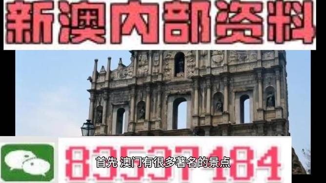 澳門高級(jí)內(nèi)部VIP資料，犯罪行為的警示與反思