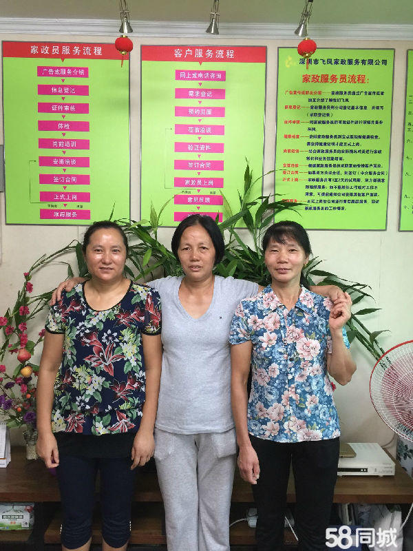 薛城最新的鐘點工招聘，探索靈活就業(yè)的新機遇