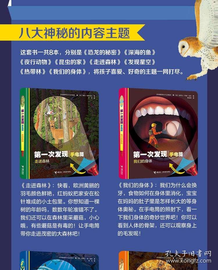 香港正版免費(fèi)大全資料，探索與解析