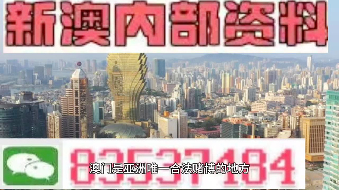 新澳精準(zhǔn)資料，探索其背后的力量與價值